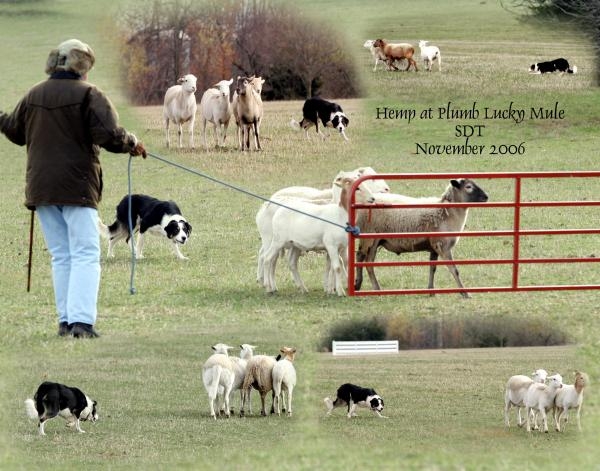 bailey600x471px.jpg